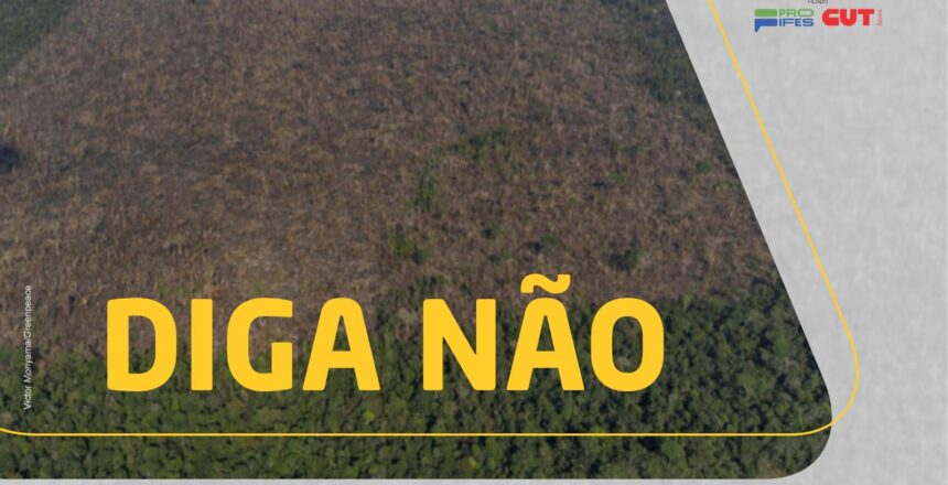 PL da Devastação_quadrado