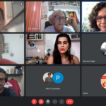 plenaria_luzia