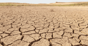 Brasil tem cenário de terra arrasada com Bolsonaro