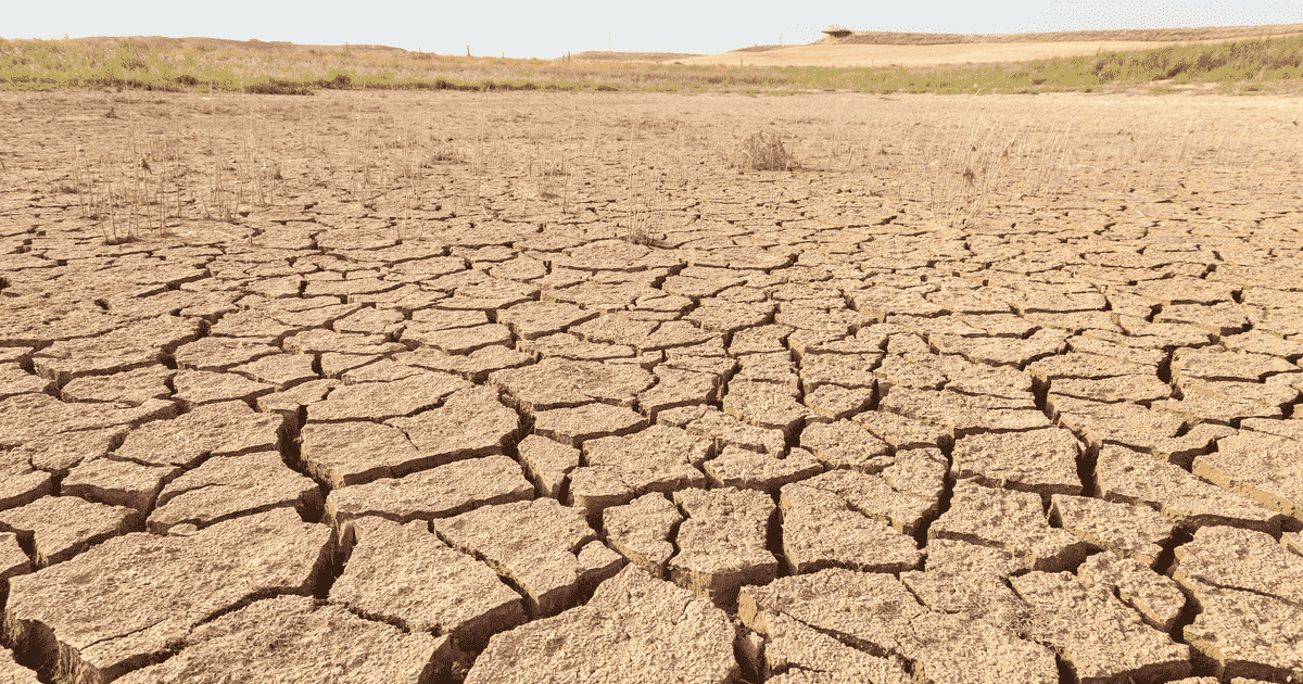 Brasil tem cenário de terra arrasada com Bolsonaro